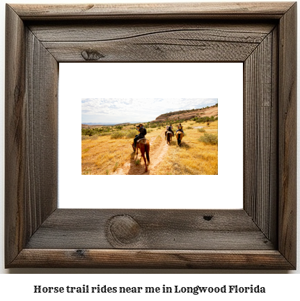 horse trail rides near me in Longwood, Florida